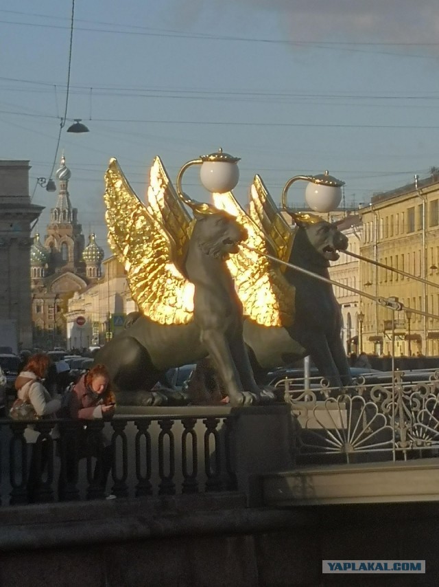 Демократия в опасности!