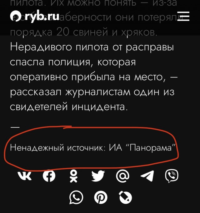 Румынские фермеры чуть не линчевали украинского пилота, самолёт которого уничтожил свинарник
