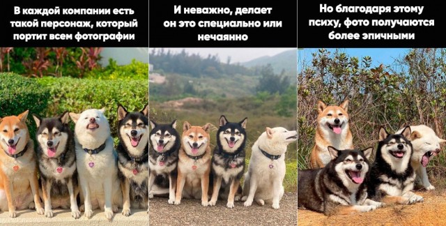 Фотограф поймал на лету