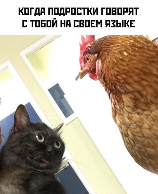 Весёлый полтишок 01.10.23