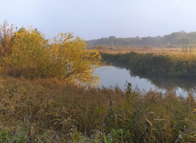 Краски осени
