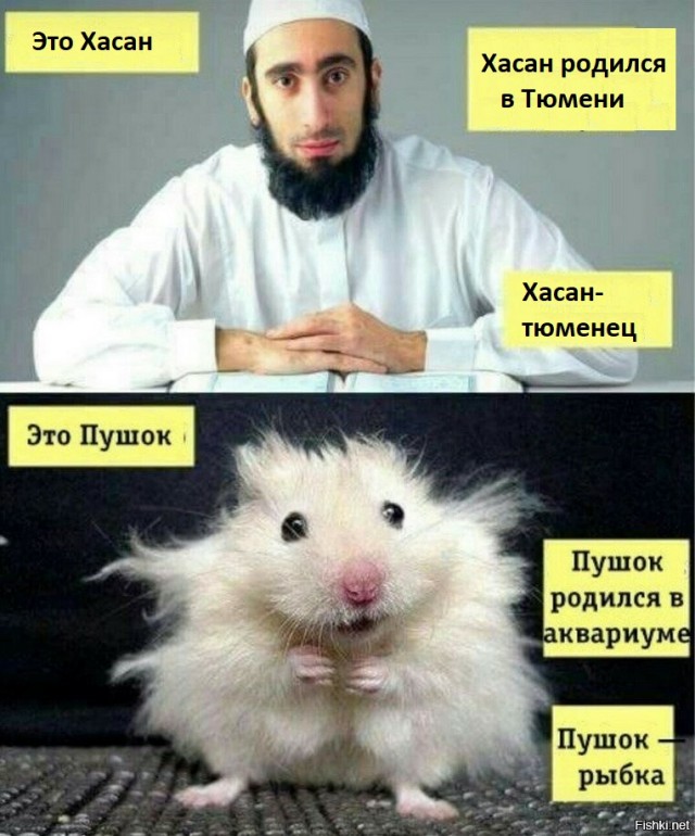 Пропавшая в Израиле немка, кадры с которой облетели мир, находится в больнице