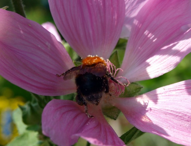 Мои фото без обработки