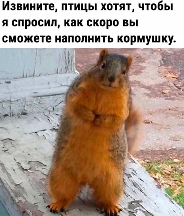 Мемчики и картинки для настроения и подумать