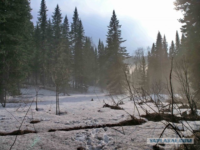 Сплав на катамаранах