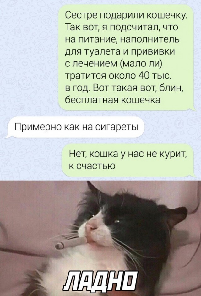 Завалялось тут случайно немного забавных картинок