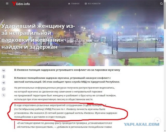 Быдло