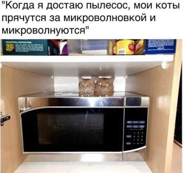 Завалялось тут случайно немного забавных картинок