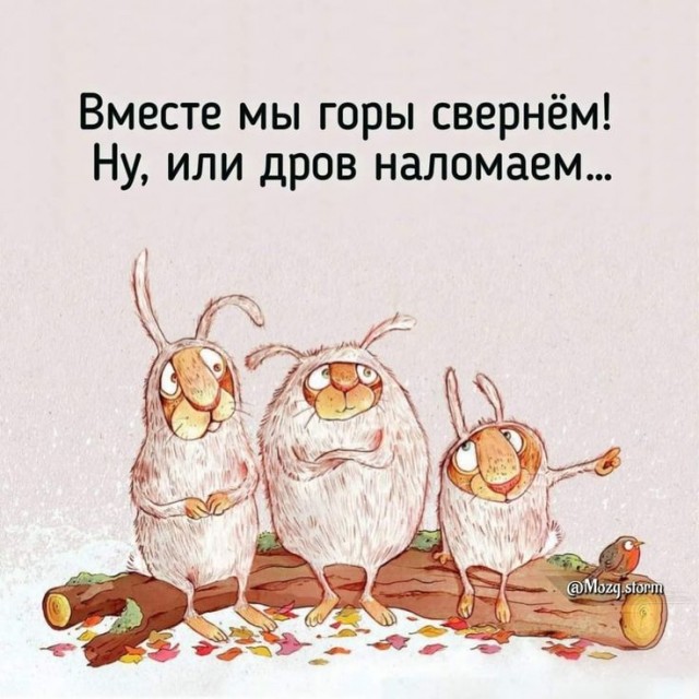 Прикольные и просто красивые картинки