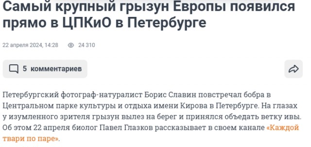 Выхухоль стремительно покидает Рязанскую область.