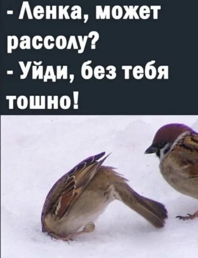 Так себе картинки 24.02.25