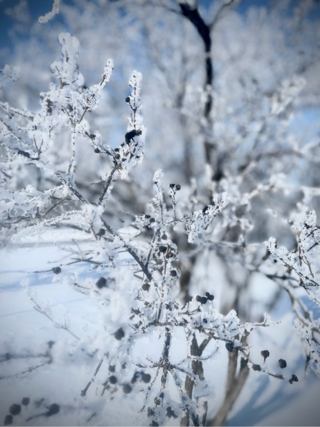 Красивое фото из телефона