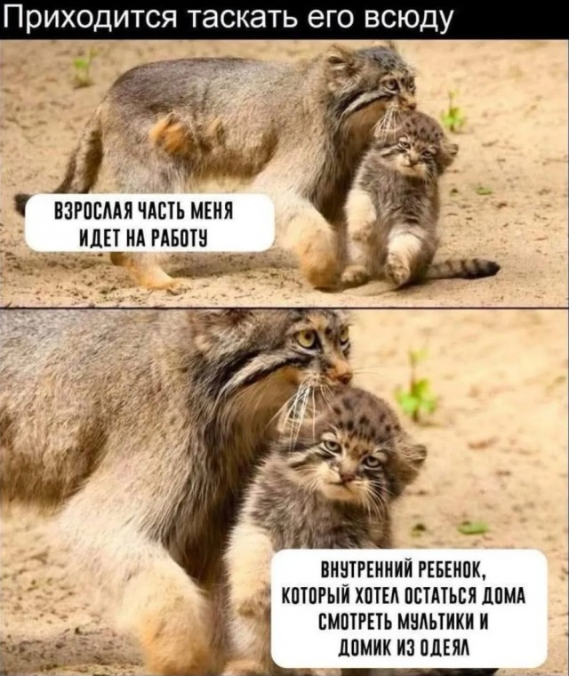 Завалялось тут случайно немного забавных картинок