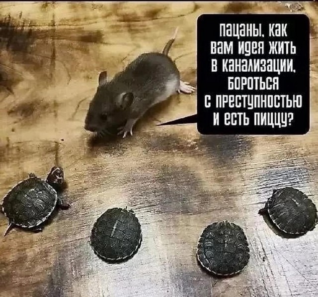 Веселые картинки в понедельник 21.04