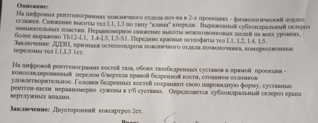 Доберманы, которых не смогла удержать хозяйка, напали на мужчину с меленькой собачкой