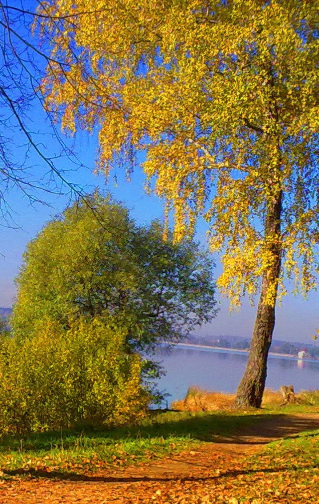 Маленький нытик ноет про жизнь в Москве