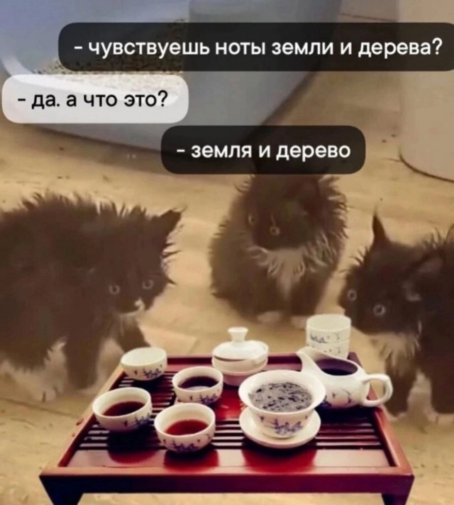 Немного картинок есть у меня на пятницу.