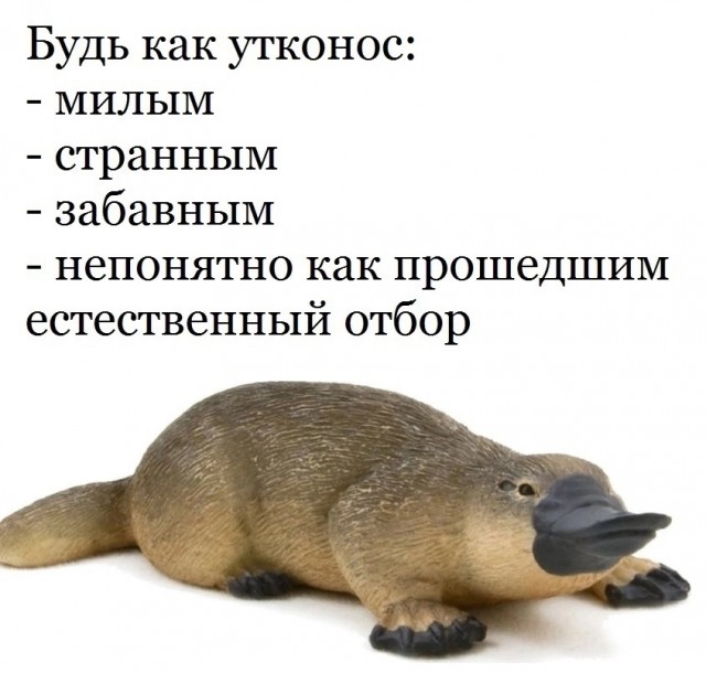 Так себе картинки 20.07.25