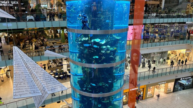 Никому не надо? Реальному покупателю - скидка.