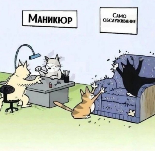 Так себе картинки 24.08.25