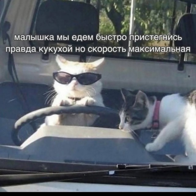 Почему я стал нервным...