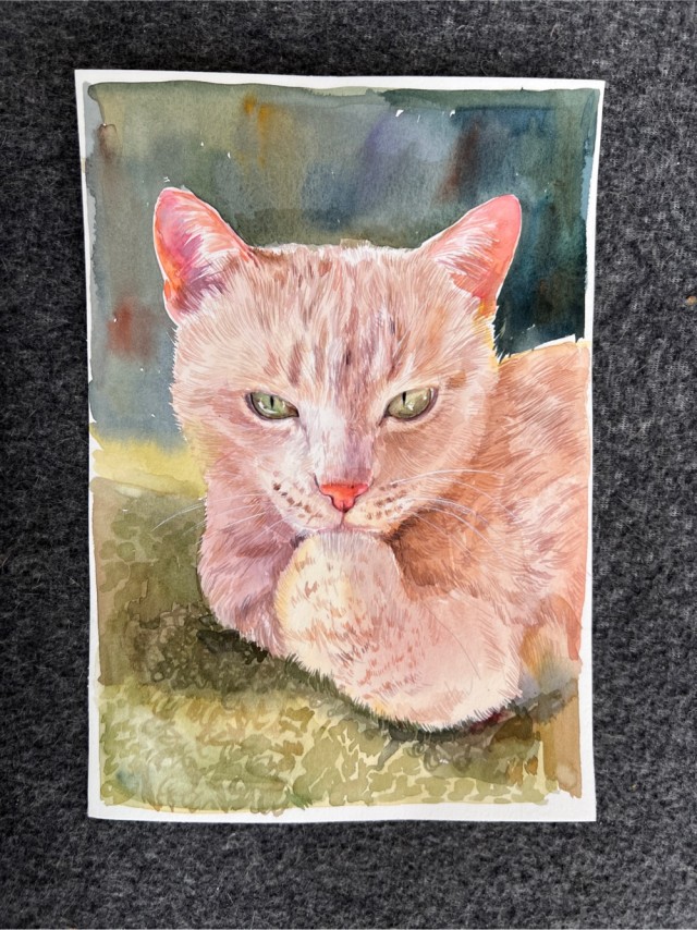Кот Семен, портреты акрилом и акварелью.