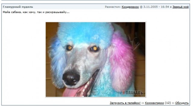 ЯП двадцатилетней выдержки