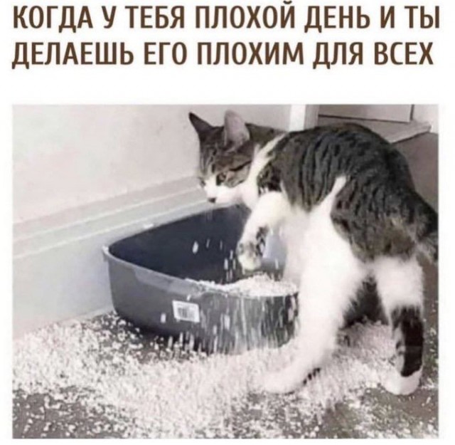 Дегрономикон депрессивный