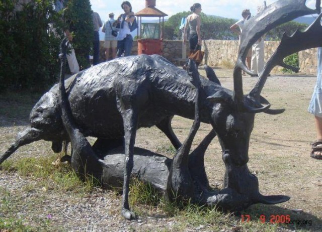 Тайное собрание