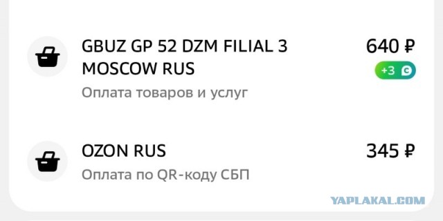 Крыса, а не заяц