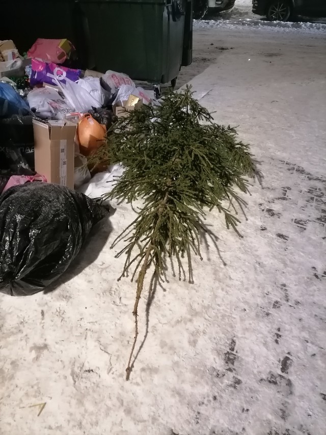 Ёлки с гигантской скидкой отдают российские магазины