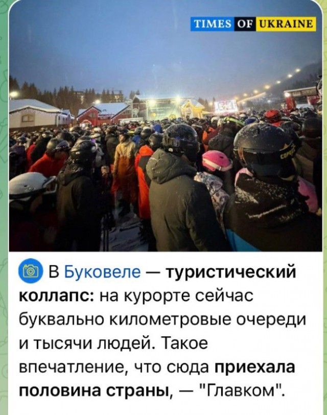 Пингвины так и греются: «Несите меня!»: в сети показали, что происходит на «Розе Хутор» в новогодние праздники