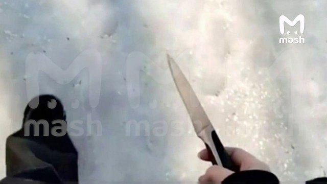 Шестиклассница пришла в школу с ножом в Воронеже