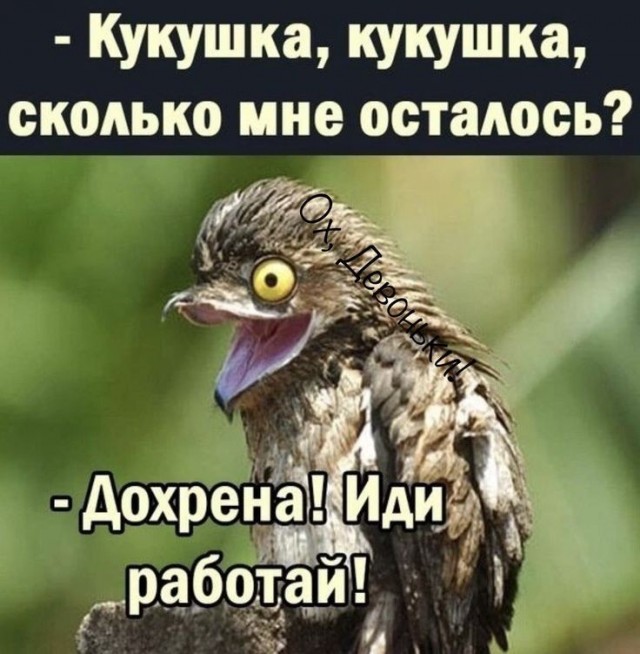 Четверговые картинки