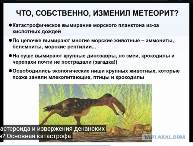 Альтернативная сборка: какой могла быть жизнь на Земле. Михаил Никитин Краткий пересказ одноименной лекции.