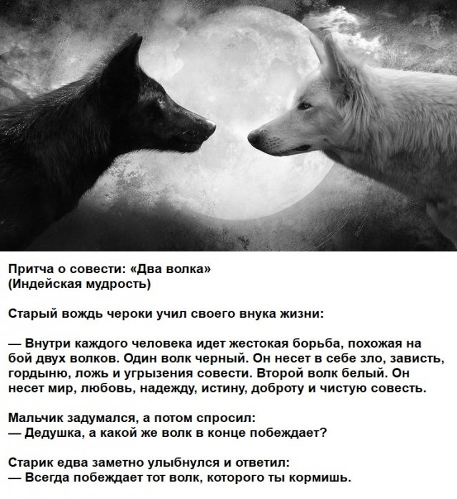 Картинки для деградации 236 (разной степени свежести)