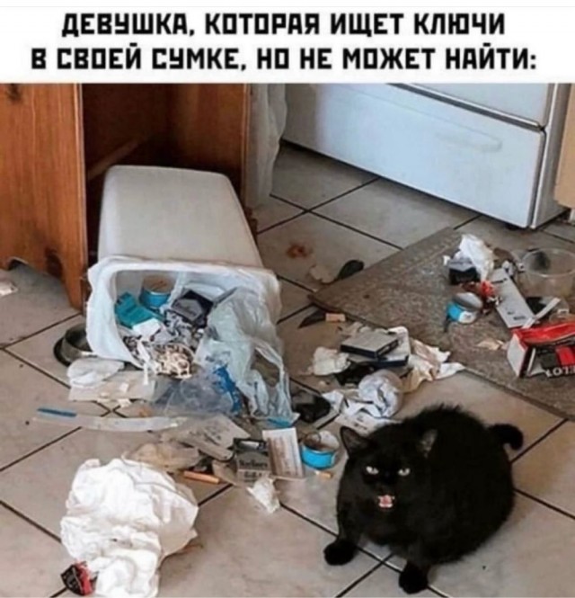 Веселое настроение в картинках 14.08.26