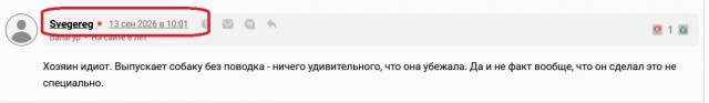 Мясо с рыболовным крючком проглотила собака в Подольске