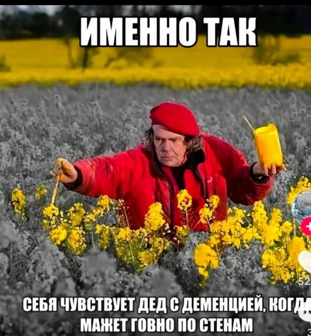 Веселые картинки в понедельник (12.10)