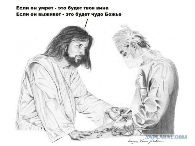 Теория Дарвина имеет право на жизнь