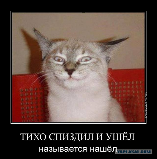 Воришка