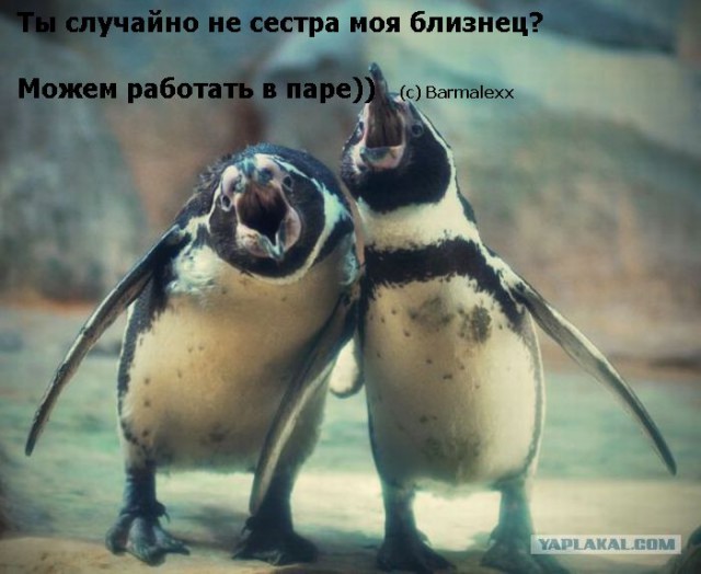 Второй этап конкурса «Шеф-повар 2014»