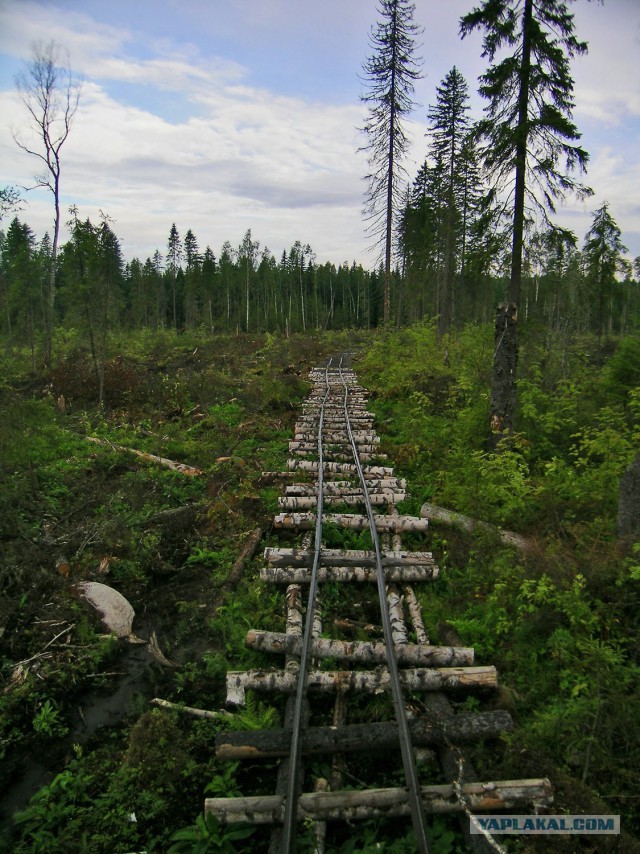 Лучшие железнодорожные фото 2014