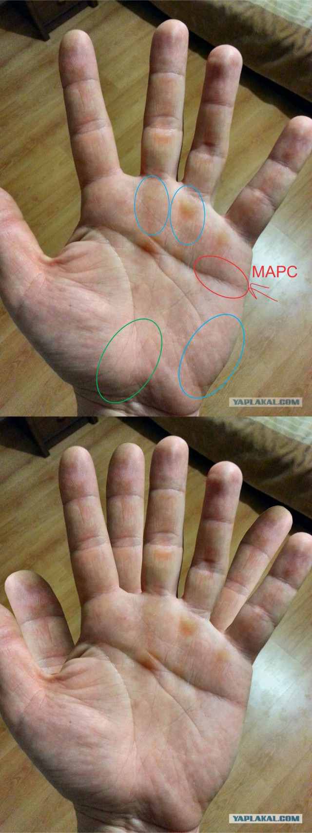 Исследую Хиромантию