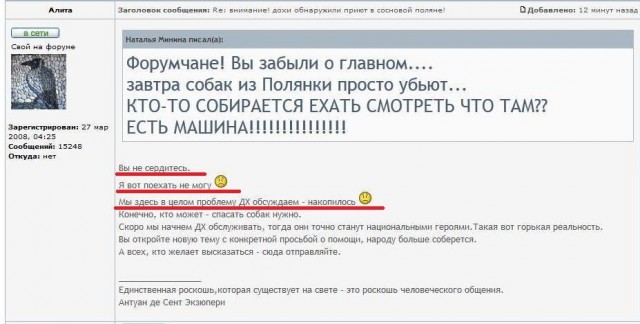 На Урале за одну ночь убили десятки собак