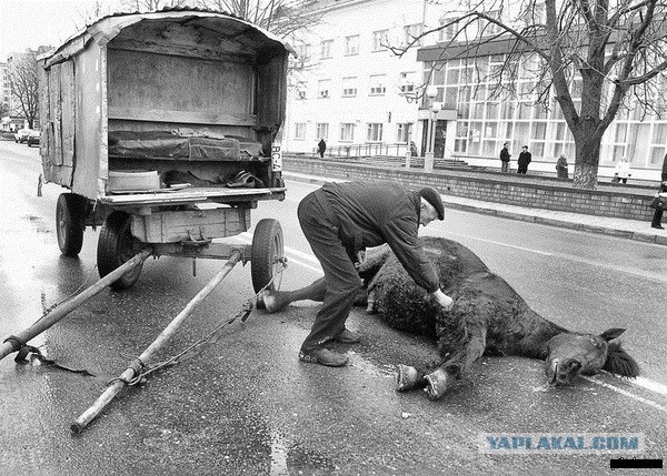 Грустное фото