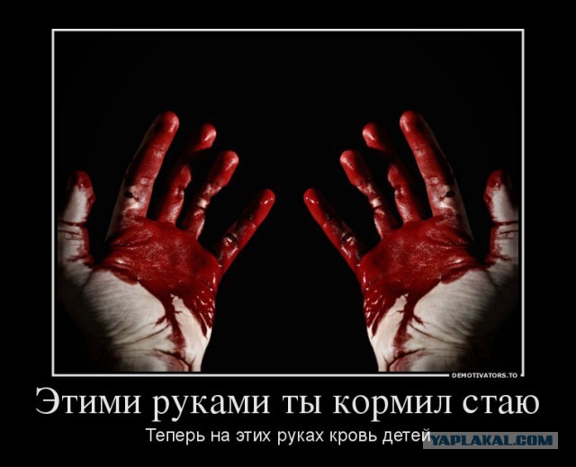 Магадан. Кто на этот раз ответит за людоедство?