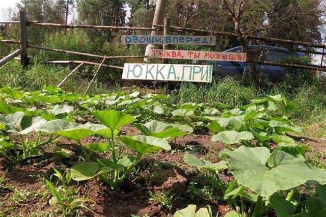 Славной Юкки пост.