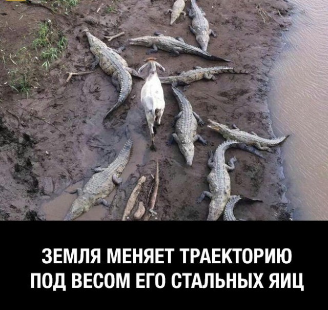 Подборка картинок
