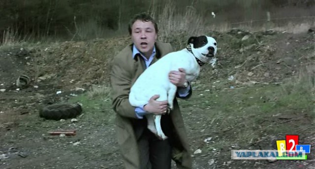 Неадекватная тварь, что с ней делать?